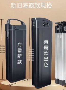 折叠电动车20A银鱼锂电池48V30A代驾自行车专用海霸款可拆卸电瓶
