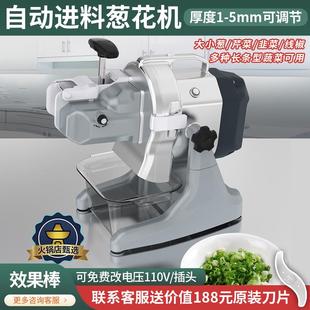 多功能自动进料切葱花机小型商用切菜器切韭菜芹菜粒豆角丁辣椒圈