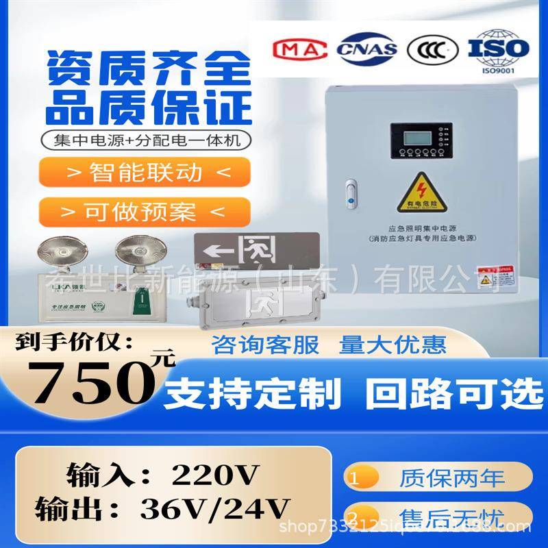 明A型应急照明集中电源EPS配电箱DCVV/1000W应照灯具控急制主机