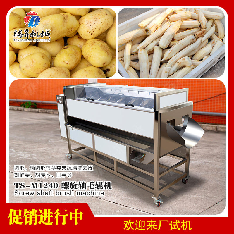 工业大型全自动毛辊土豆清洗去皮
