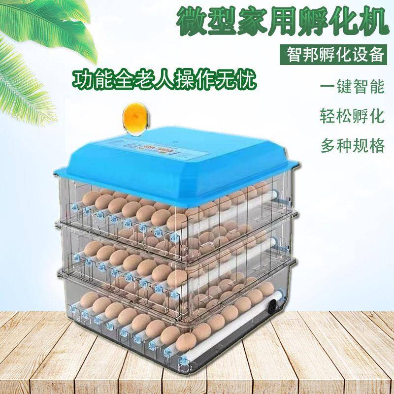 全自动家用微型孵化机小鸡孵蛋器新款滚轴鸡鸭鹅鸽鹌鹑鸟孵化箱