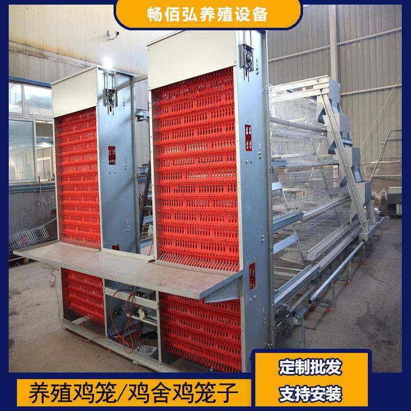 全自动阶梯鸡笼养殖厂工厂阶梯型自动鸡笼热镀锌材质可供外贸,畜牧/养殖物资,特种养殖设备,淘宝优惠券,粉丝福利购,淘宝优惠卷
