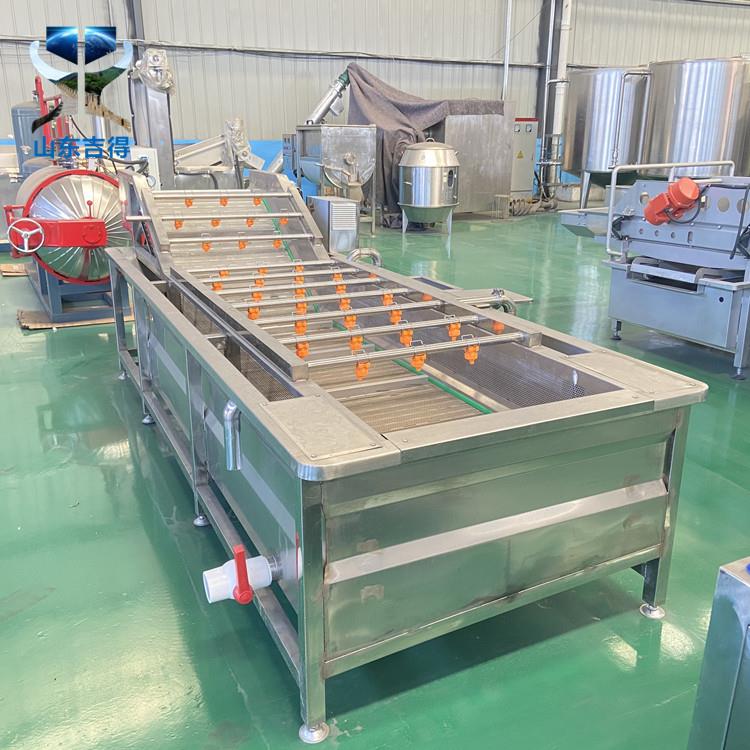 蔓越莓果蔬清洗机粽叶清洗设备蚯蚓气泡清洗机黑水虻自动清洗机