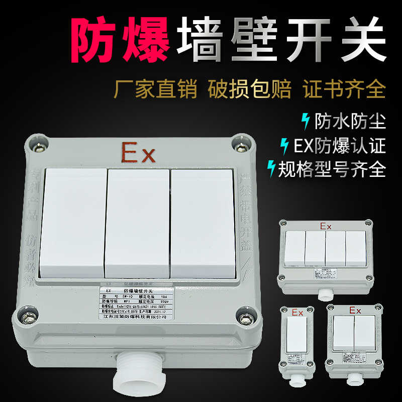 防爆墙壁开关SW-10A单双控86方型照明开关220/380V防水防尘1开2开