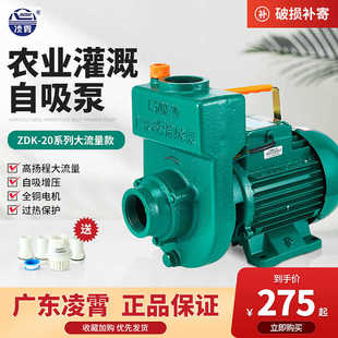 广东凌霄水泵增压泵家用大流量自吸泵1.5寸2寸抽水机农用灌溉泵