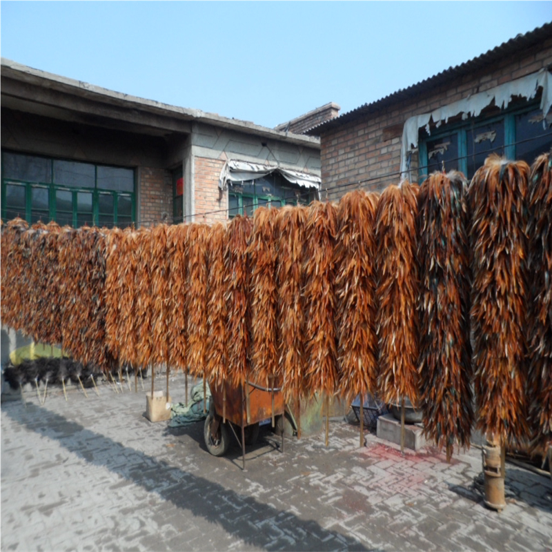 真鸡毛掸子纯手工家用车用老式除尘禅子不掉毛清洁伸缩拖把防