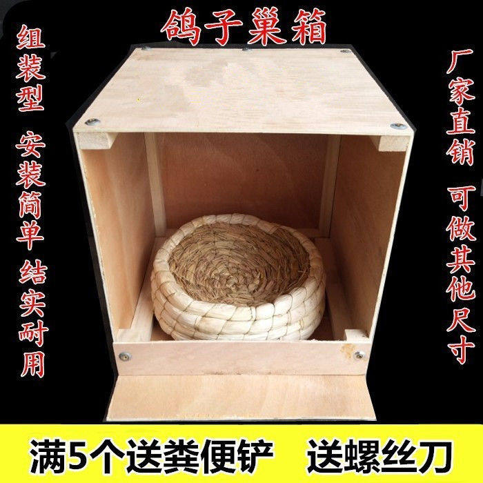 鸽子巢箱窝室内外可挂木制质繁殖孵化防打扰配对放飞笼鸽具宠物窝