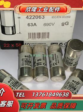 DF ELECTRIC DF熔断器 422012 422016 422020 422025 422032议价