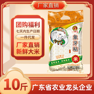 新米广东韶关油粘米大米象牙粘米5KG真空包装10斤厂家大米