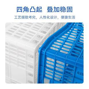 装葡萄的塑料筐杨梅胶框长方形水果镂空周转筐熟胶密封其他汽车