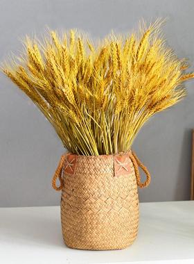 纽约公寓~招财开业大卖麦穗大麦装饰摆饰干燥花北欧天然海草编织