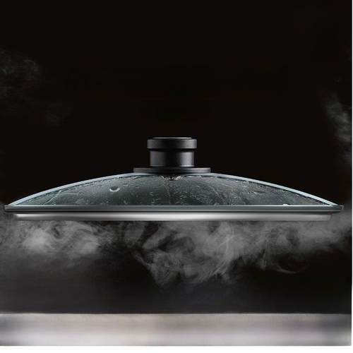 德国Woll正品锅盖家用锅30厘米视觉钢化玻璃盖煎汤蒸笼