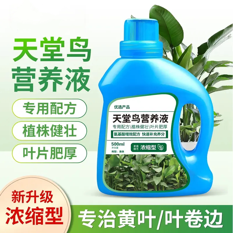 天堂鸟营养液浓缩型专治黄叶卷边
