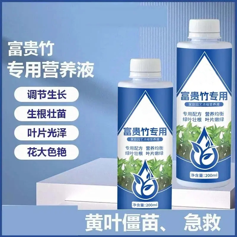 富贵竹专用营养均衡治黄叶促生根