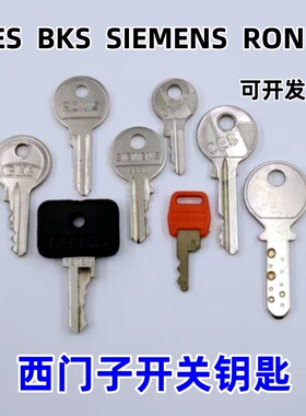 西门子开关面板系统权限手轮转换复位 CES BKS RONIS SIEMENS钥匙