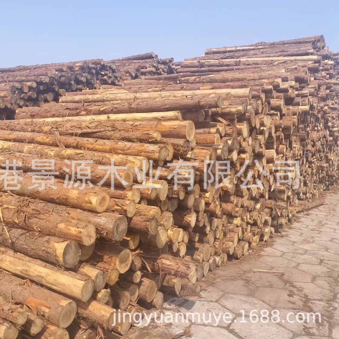 奥松防汛打桩木可削尖头断长度