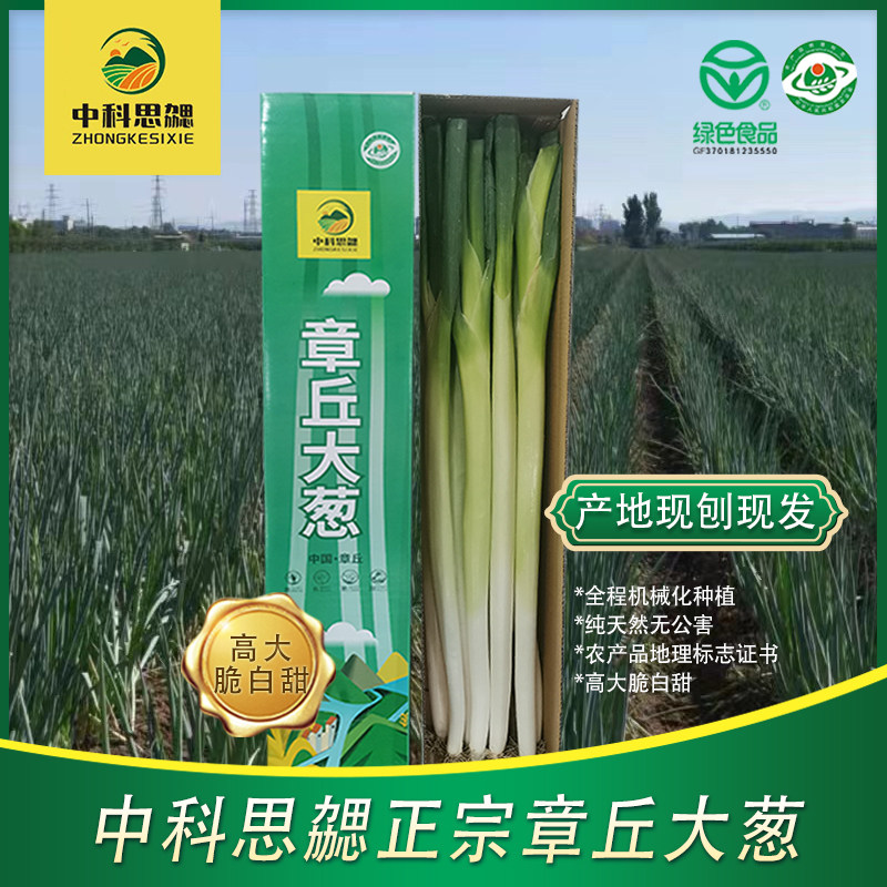 中科思勰正宗山东章丘大葱新鲜5斤脆甜微辣特产蔬菜礼盒装