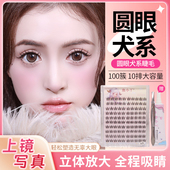 鱼小丫假睫毛犬系无辜狗狗眼假睫毛浓密狐狸懒人三部曲纯野漫画眼