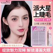 鱼小丫假睫毛派大星系列女自然仿真睫毛纯欲单簇分段式 新手眼睫毛