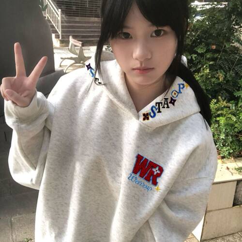 国潮牌美式彩色字母刺绣连帽卫衣女秋冬加绒加厚宽松情侣高街外套