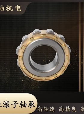 洛阳圆柱滚子轴承NJ NU234 236 238 240 244 248EM