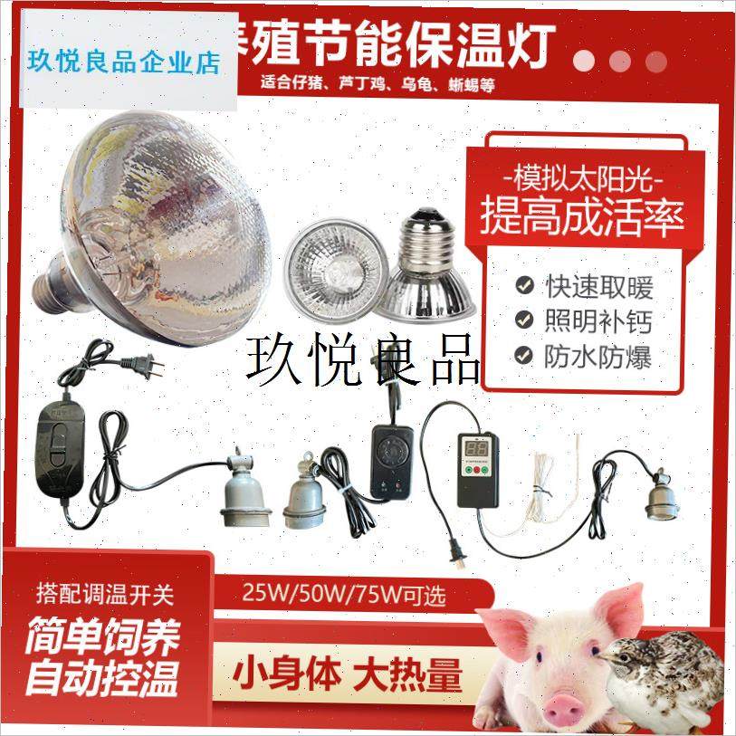 猪用保温灯温控器小猪p保温箱控制开关取暖灯头芦丁鸡宠物爬宠灯,