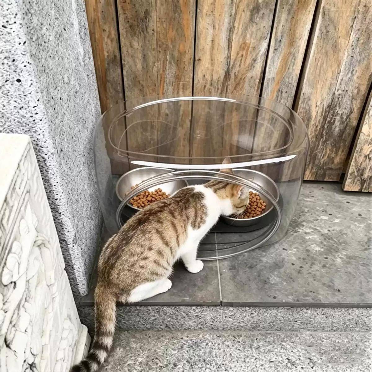 防雨猫碗罩户外庭院防虫防蚂蚁大