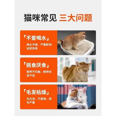 宽福猫罐头猫主食罐增肥发腮补充营养猫咪零食成幼猫湿粮猫条12