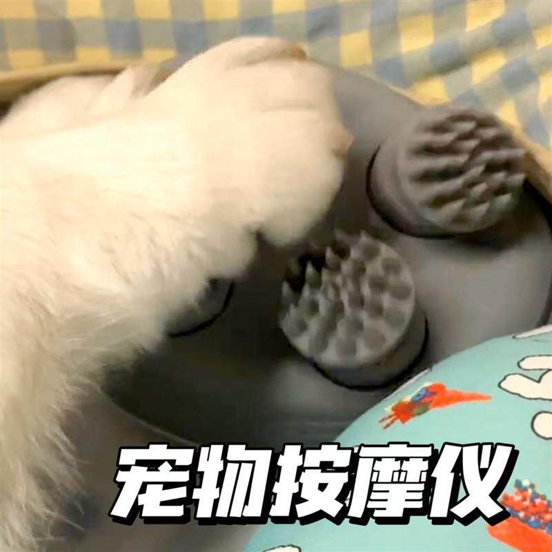 宠物按摩器猫猫狗狗电动按摩仪柯基充电多功能智能头皮解压神器