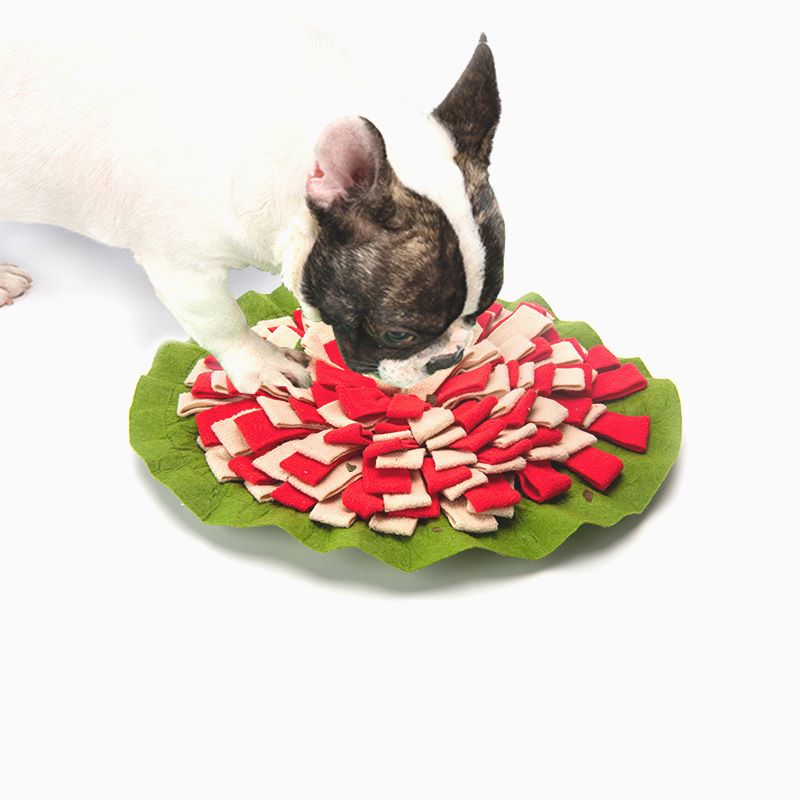 宠物嗅闻垫 狗狗猫咪喂养垫子慢食狗碗 减肥神器一件代发宠物用品
