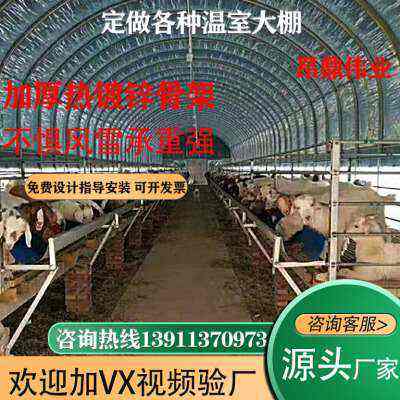 新温室大棚钢管骨架蔬菜养殖种植全套农业连体连栋大棚支架配件厂,农机/农具/农膜,大棚钢管,淘宝优惠券,粉丝福利购,淘宝优惠卷