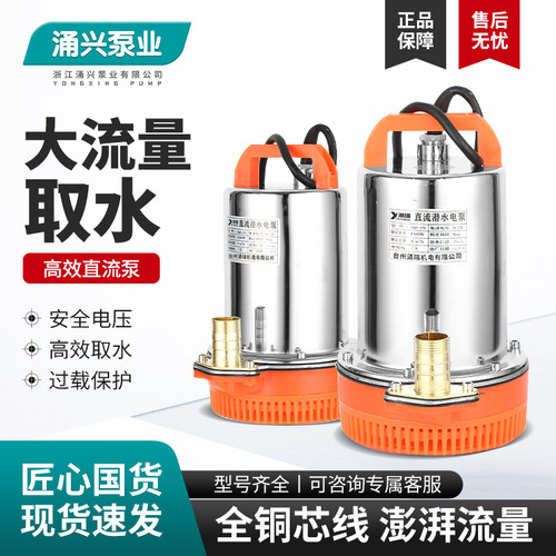 直流潜水泵不锈钢12V抽水机24V48V60V电瓶车小型电动车农用抽水泵