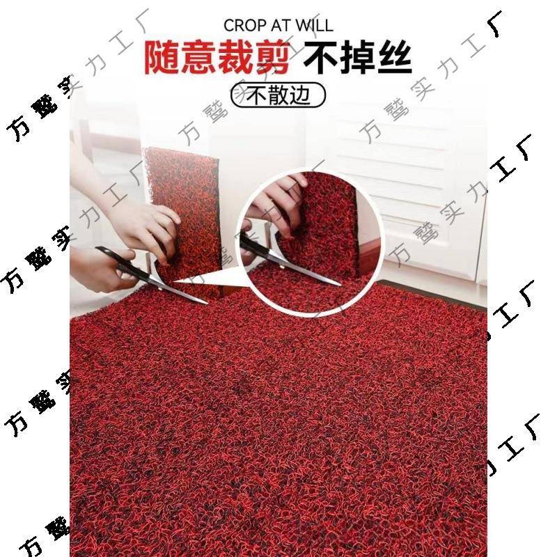 特厚BLW塑料丝进门户地垫用可裁剪门厅入地圈毯门垫家汽车蹭土脚