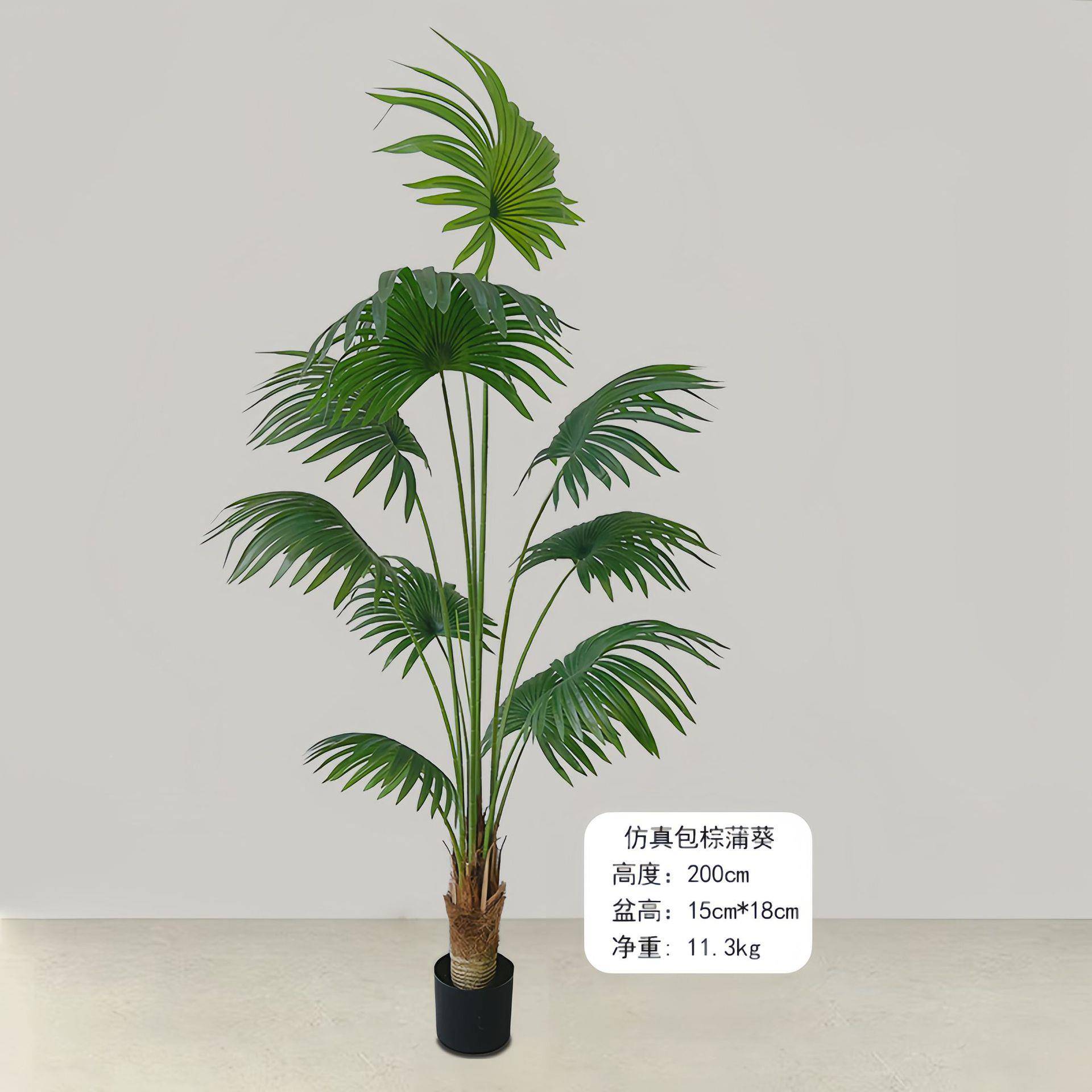 仿真蒲盆栽真型植物大落地盆景室内装饰扇葵仿加州葵RQU蒲葵摆件