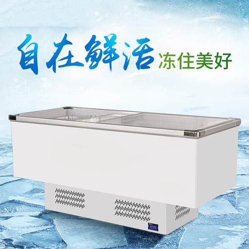 冰柜商用大容量冷柜ZIE冰箱冷展示柜藏保冷鲜两用透明玻璃卧冻式