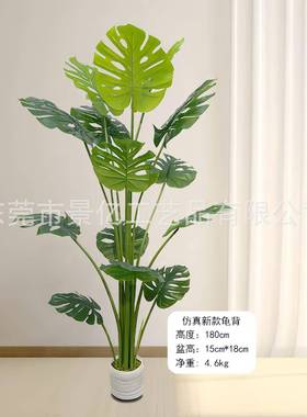 仿真龟背PU仿真龟背叶盆杆栽仿真真植物盆景龟竹仿龟ZRL背背绿植