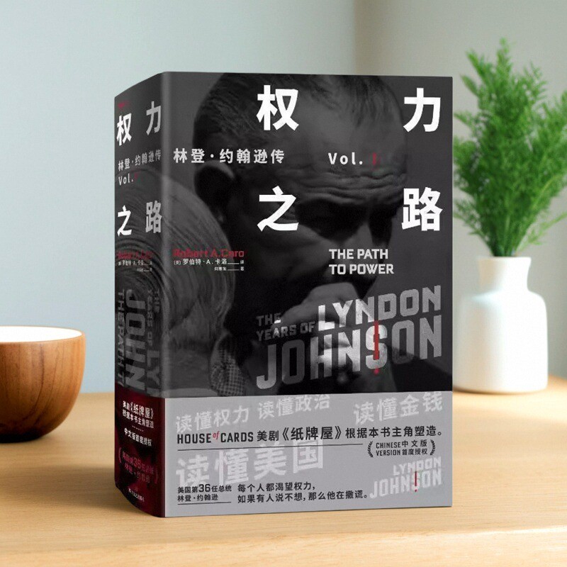权力之路林登约翰逊传1