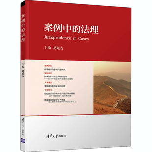 案例中 正版 書籍 社 法理易延友吳革李軒清華大學出版