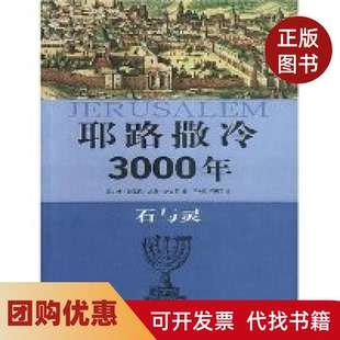 【正版书籍】耶路撒冷3000年石与灵丹巴哈特王立新山东画报出版社