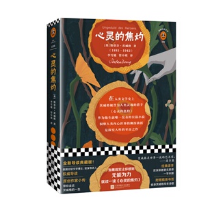 【正版速发】心灵的焦灼 斯蒂芬茨威格著 李雪媛 管中琪译 江苏凤凰文艺出版社 小说书籍 9787559428790