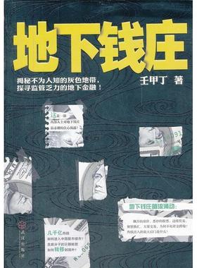 【正版书籍】地下钱庄壬甲丁武汉出版社