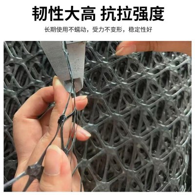 速发土工格栅生产路基路面加固加筋土工格栅钢塑格栅三向塑料格栅