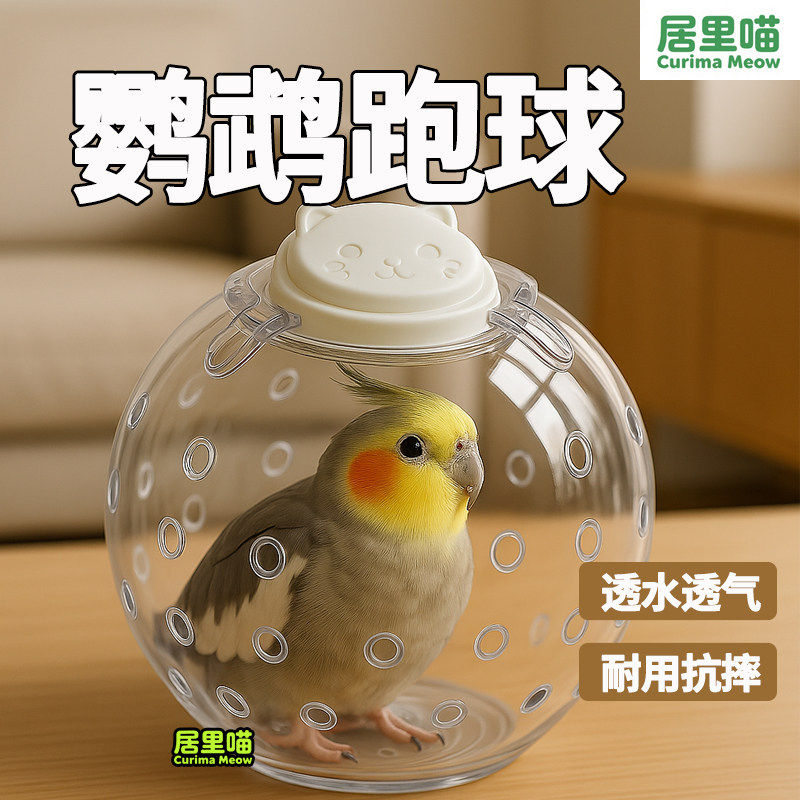 居里喵鹦鹉跑球玩具解闷自嗨虎皮牡丹耐啃咬跑轮小鸟益智解压用品