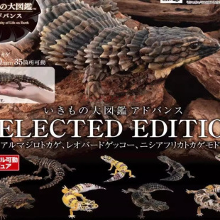 【木野日谷】预售正版 扭蛋 生物大图鉴 特选编 犰狳蜥 豹纹守宫