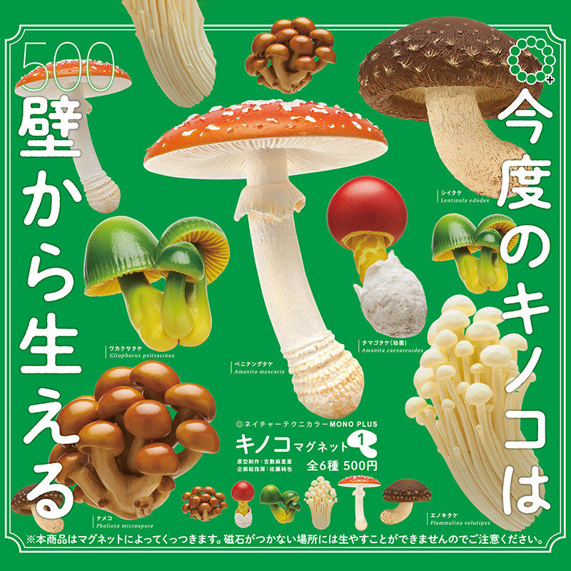 【星谷】预订   第1弹 蘑菇冰箱贴  金针香菇菌菇磁铁装饰扭蛋