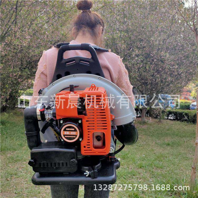 园林吹树叶风机9008型吹雪机大马吹KLV汽油风力灭火力机,农机/农具/农膜,林业机械,淘宝优惠券,粉丝福利购,淘宝优惠卷