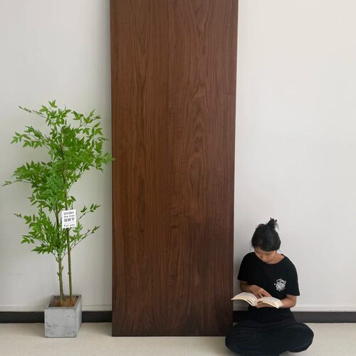 北美黑胡桃木实木餐桌莫比恩原木大板茶桌书桌客厅轻奢中古风岛台