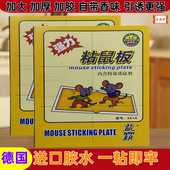 益霸强力粘鼠板老鼠贴新款 厨房专用黏鼠板家用加大加厚捕鼠贴大号