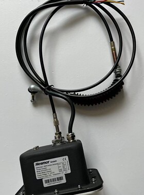 Hesmor 油门执行器