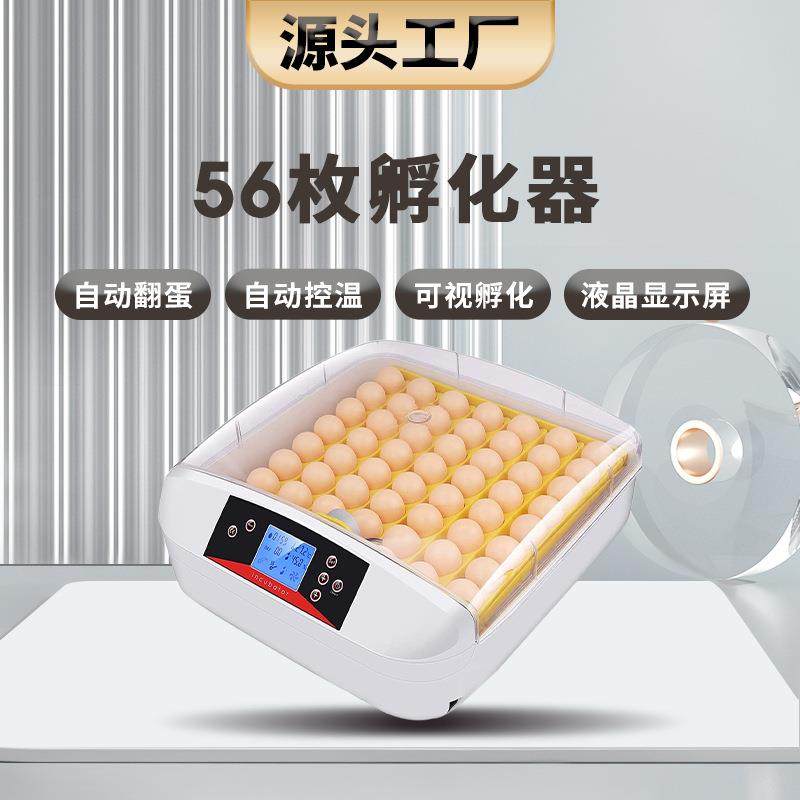 源头工厂56枚跨境外贸热销养殖孵化设备小鸡鸟蛋鹌鹑鸽子鸭孵蛋器,畜牧/养殖物资,特种养殖设备,淘宝优惠券,粉丝福利购,淘宝优惠卷